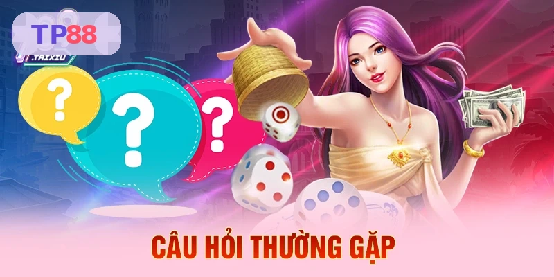 Câu hỏi thường gặp về tải TP88